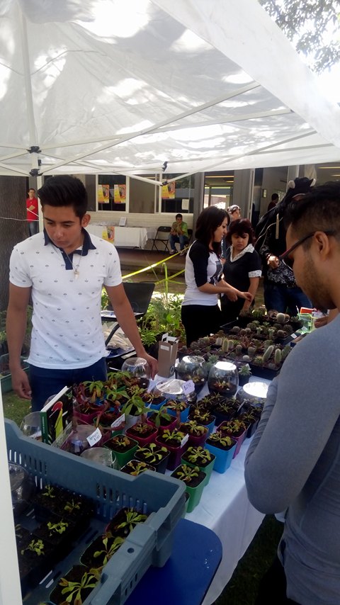 Departamento de Biología presenta colección de plantas