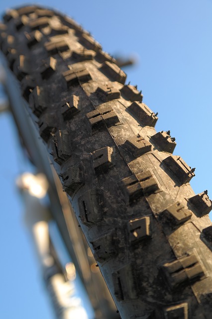 Útiles, la mitad de las bicicletas de Rueda Verde