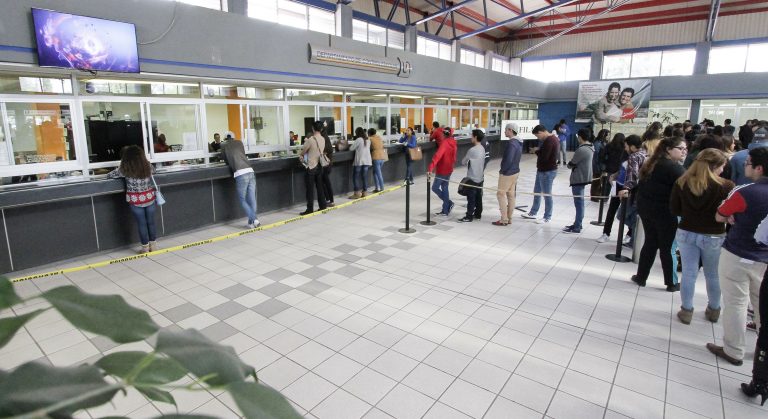 BachUAA cubrirá 70% de la demanda