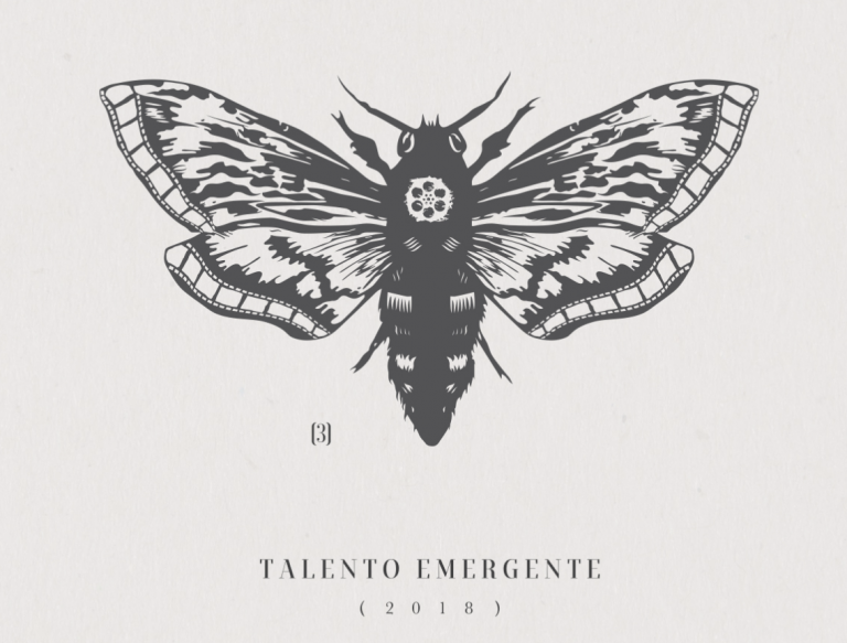 Ciclo de Cine; Talento Emergente