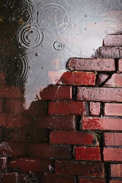 Petricor: El Olor de la Lluvia