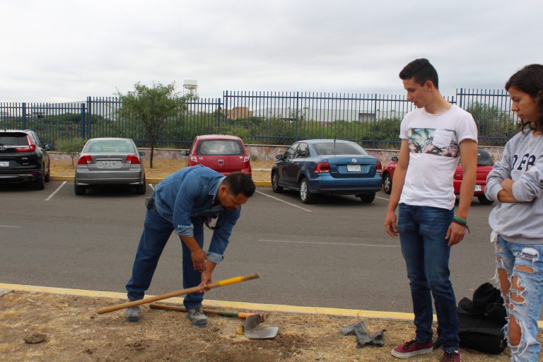 Forestación en Campus Sur: Heno y clima, principales obstáculos