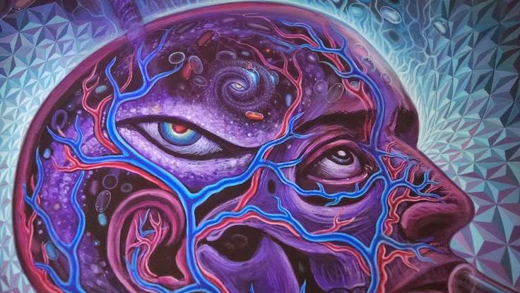 Las Drogas Psicoactivas y los Problemas Mentales