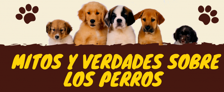 Mitos y Realidades Sobre los Perros