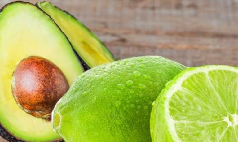 Aguacate y Limón, en lo más Alto