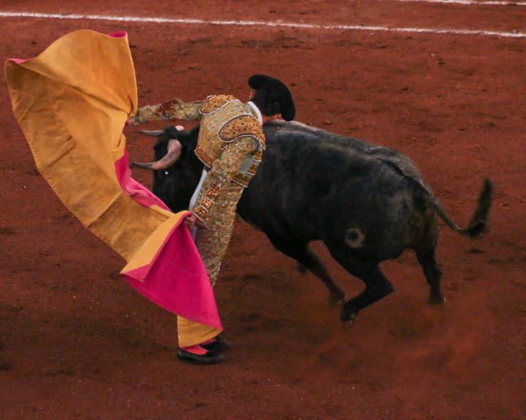 Jesús Sosa sale en hombros en la cuarta novillada de la temporada 2025